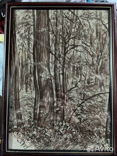 Карандашные рисунки