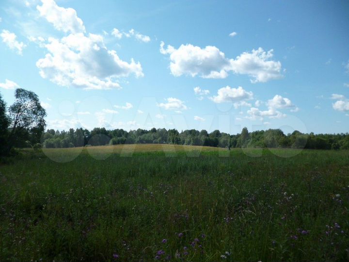 Участок 4,26 га (СНТ, ДНП)