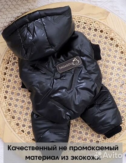 Зимний комбинезон L для собак мелких пород