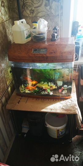 Аквариум 100 литров