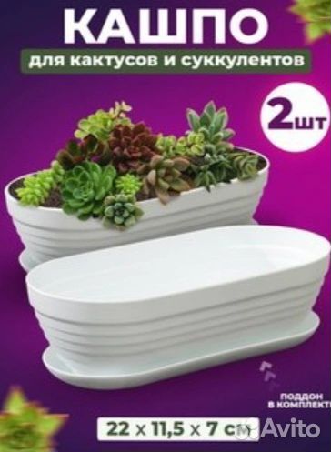 Горшочки для суккулентов