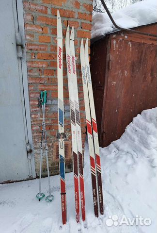 Беговые лыжи