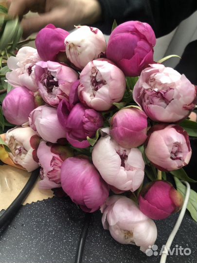 Цветы с доставкой пионы Букеты из Пионов