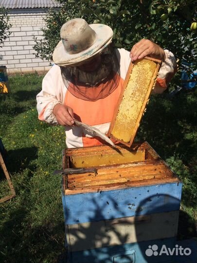 Мёд 2023 г., натуральный