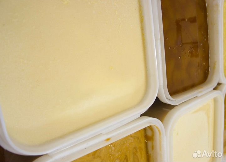 2024 Мёд натуральный алтайский опт