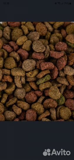 Корм таблетки для рыб Анцитрус