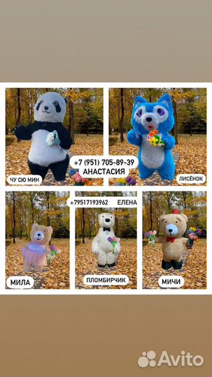 Живая поздравительная открытка