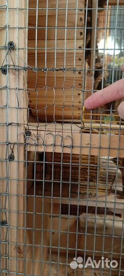 Клетка для белки дегу