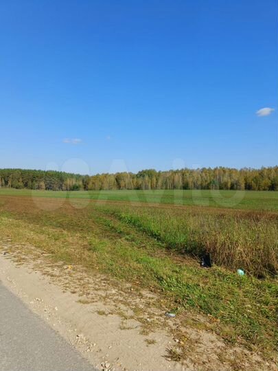 Участок 50 га (СНТ, ДНП)