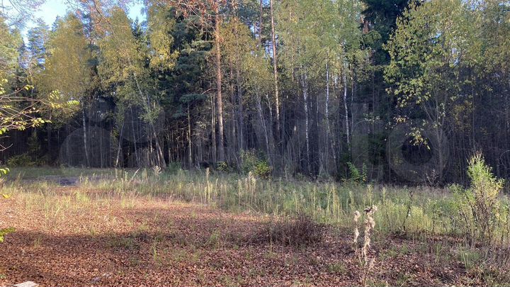 Участок 5,5 га (ИЖС)