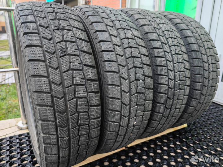Dunlop SP Winter Maxx WM01 175/65 R14