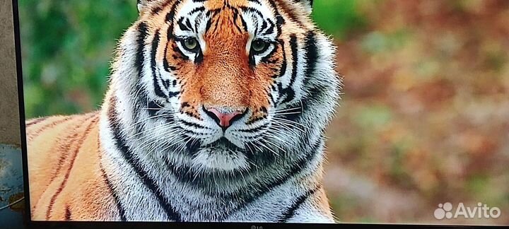 Телевизор SMART tv