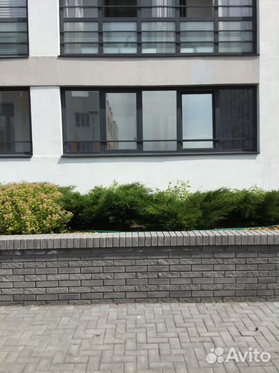 Тонирование окон, стекол, витрин