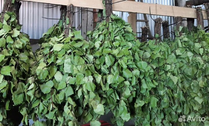 Веники для бани