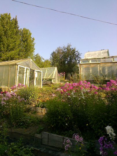 Дача 56 м² на участке 12 сот.