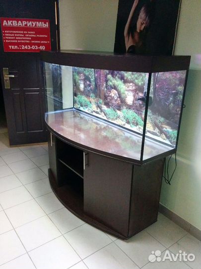 Аквариум 500 полукруглый, свет биофильтр тумба фон