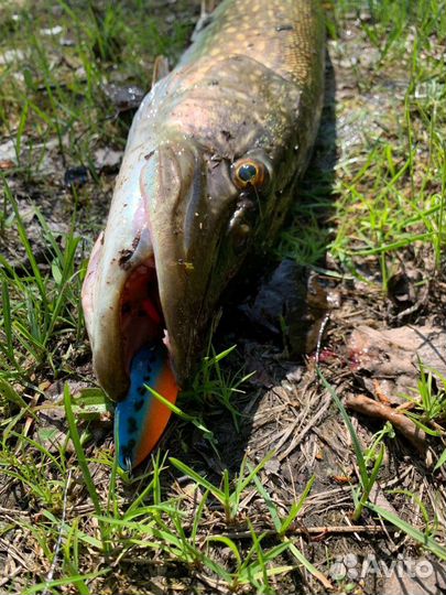 Блесна Литл Клео