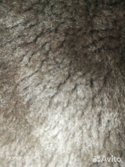 Дублёнка зимняя