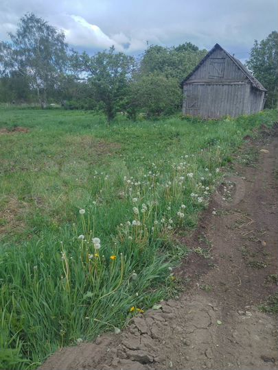Участок 23 сот. (СНТ, ДНП)