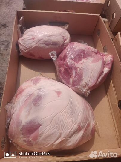 Мясо свинины оптом