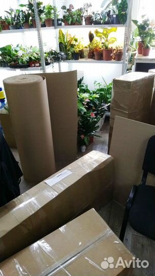 Упаковщики почтовых отправок горшечных растений