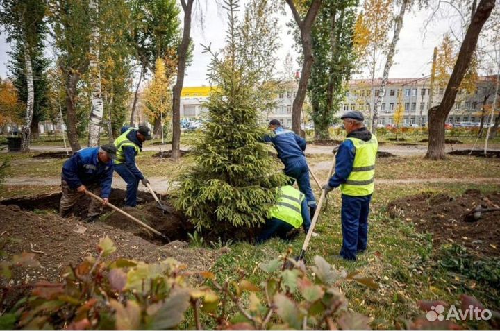 Разнорабочие. Демонтаж, земельные работы