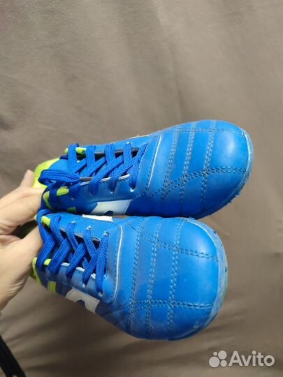 Сороконожка