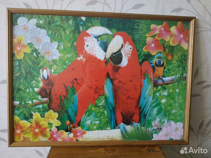Картины- пазлы с попугаями