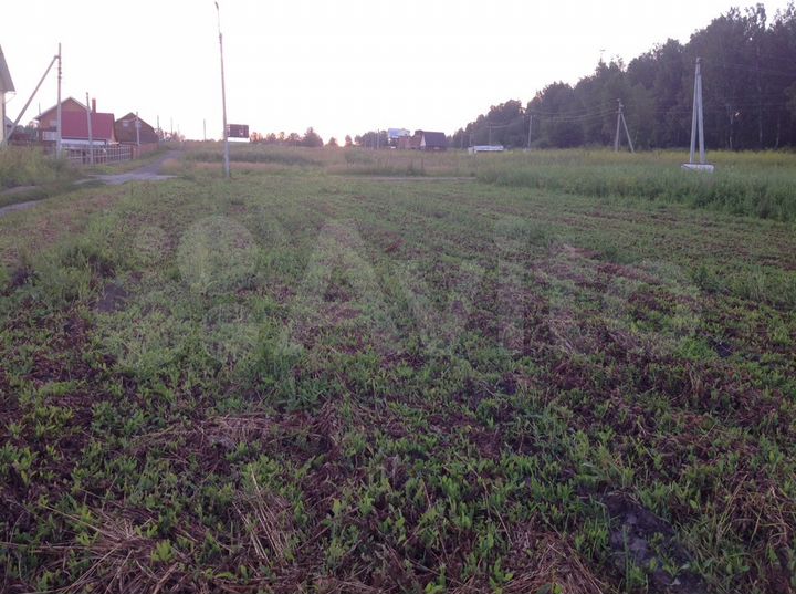 Участок 10 сот. (СНТ, ДНП)