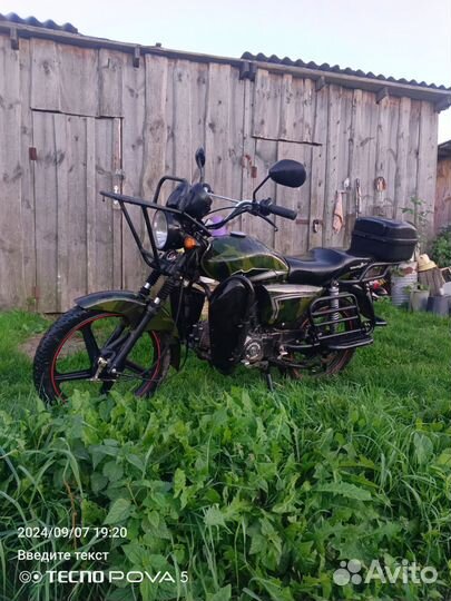 Альфа лесник