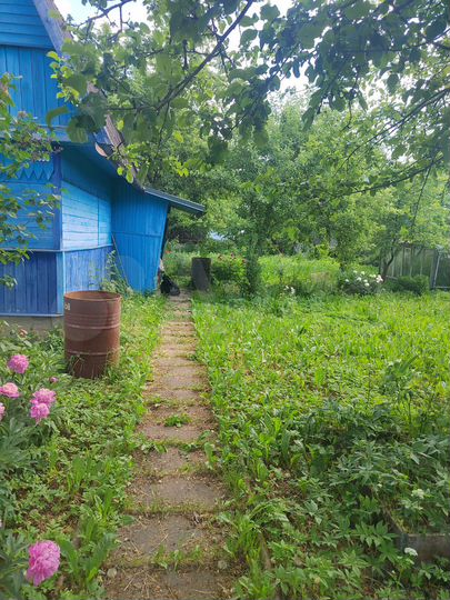 Дача 33 м² на участке 6 сот.