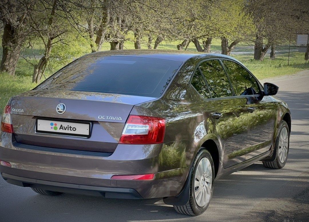 Skoda Octavia: фото владельца