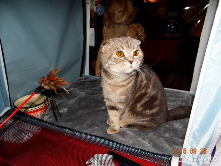 Палатка выставочная для кошек 1,5