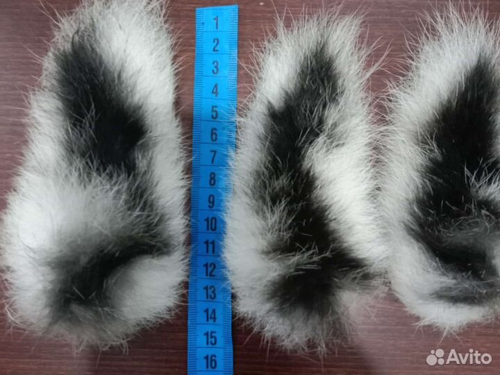 Хвосты зайца