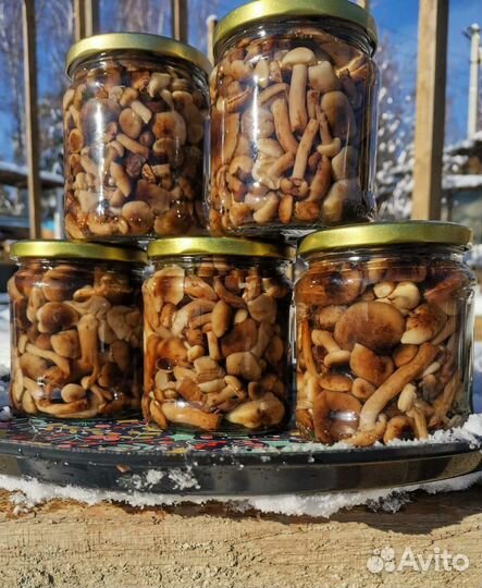 Грибы опята, маслята, рыжики