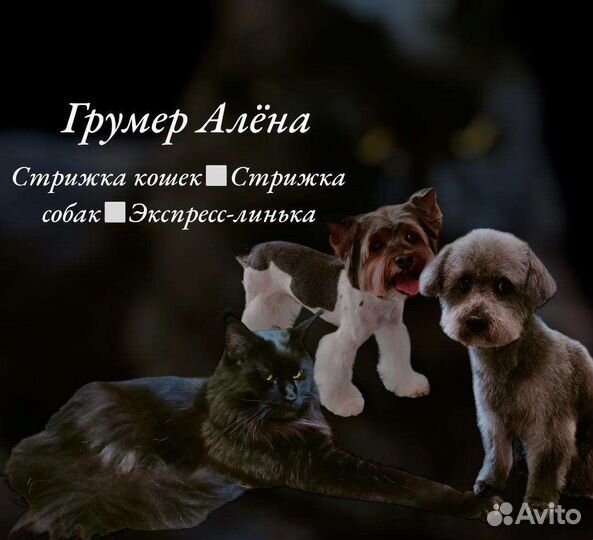 Услуги грумера/стрижка собак и кошек