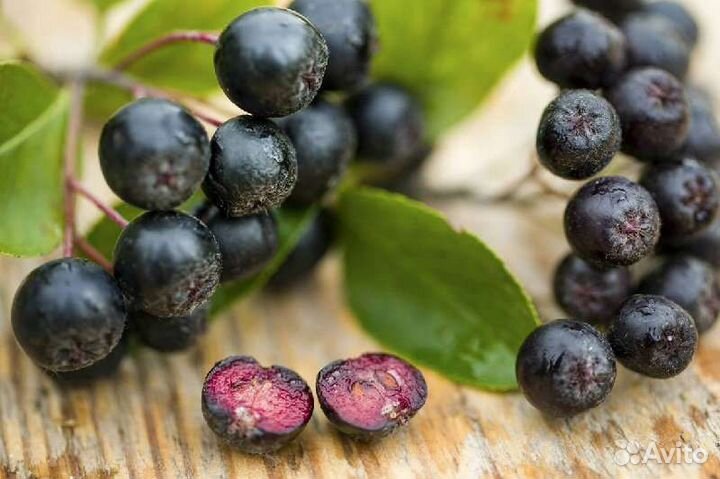 Замороженное пюре Черноплодная Рябина 1кг Агробар