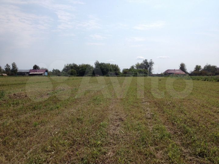 Участок 59 сот. (ИЖС)