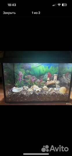Аквариум