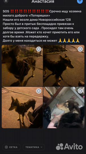 Отдам бесплатно
