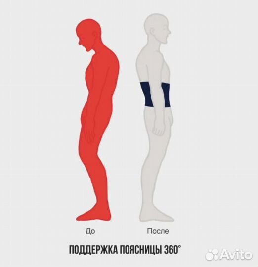 Пояс для похудения Shark Fit, размер S (42)