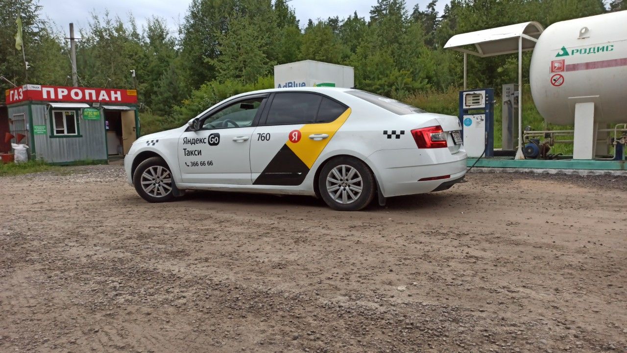 Skoda Octavia: фото владельца