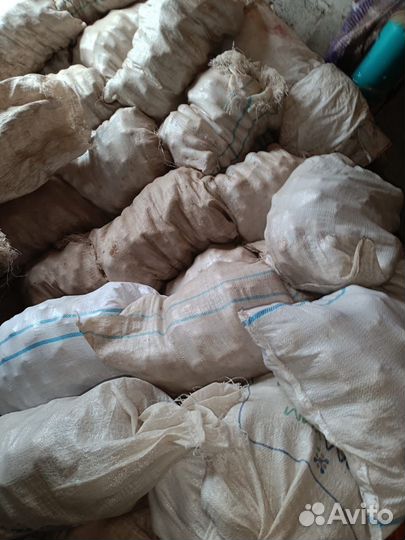 Продам картофель на корм скоту