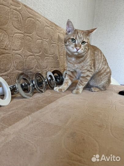 Точечные светильники