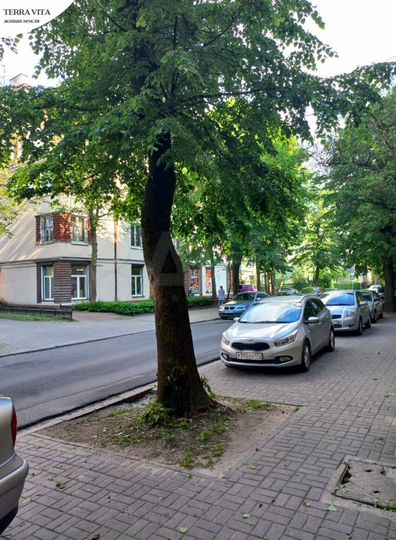 2-к. квартира, 57,3 м², 2/4 эт.