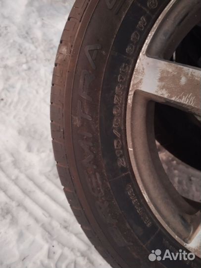 Maxxis Premitra HP5 215/60 R16