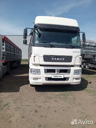 КАМАЗ 5490, 2022