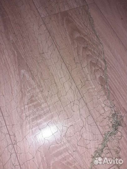 Защитная сетка от птиц