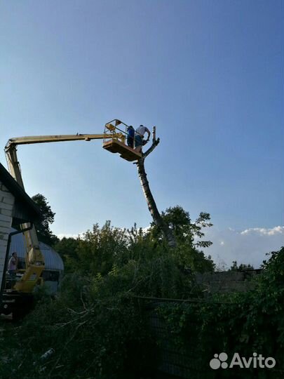 Автовышка в аренду