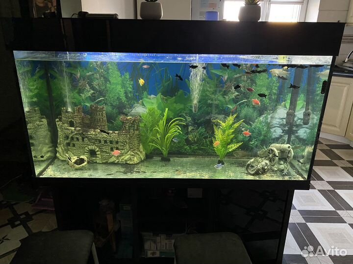 Аквариум с рыбками и тумбой